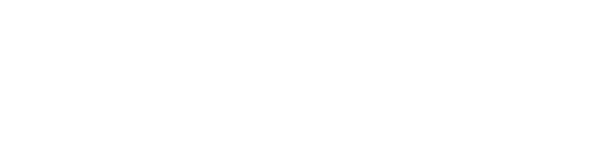 Mega Consultants